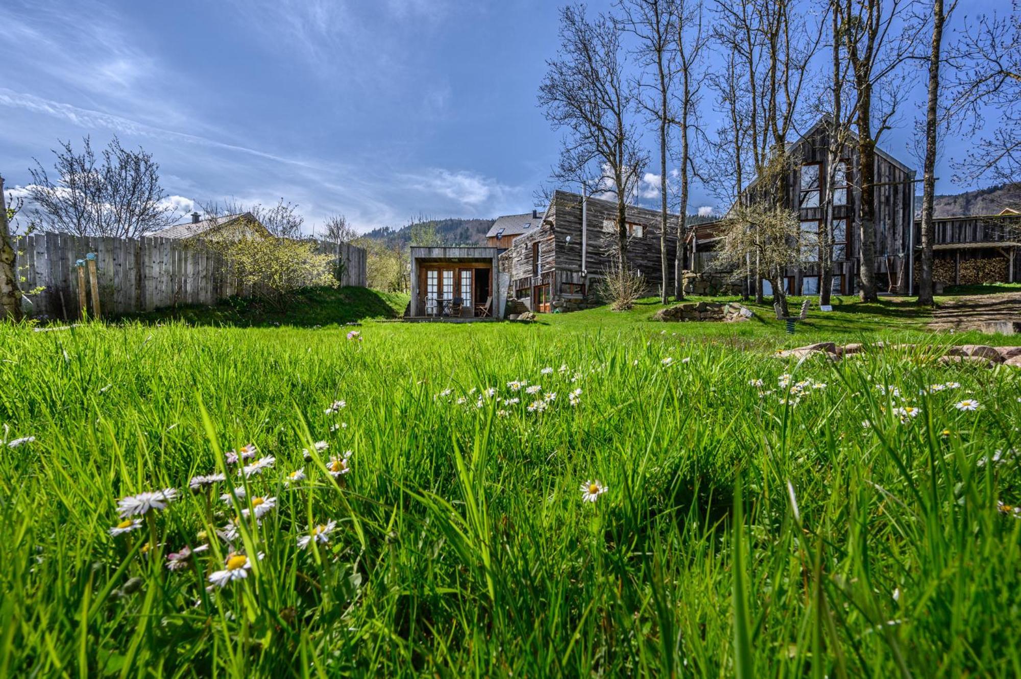 Apartment Ideenhaus&derbaum - Nature Hideaway