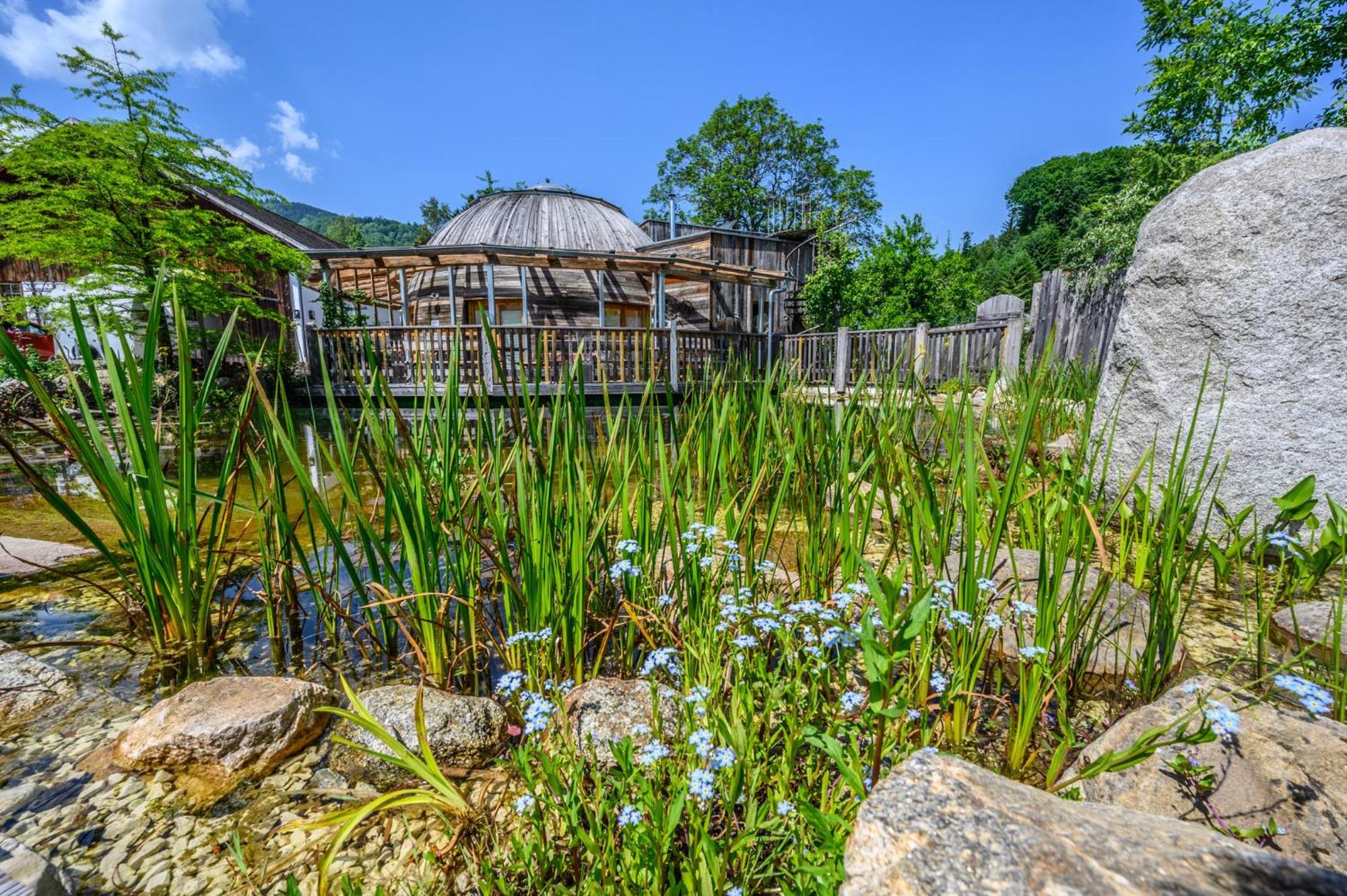 Ideenhaus&derbaum - Nature Hideaway Apartment